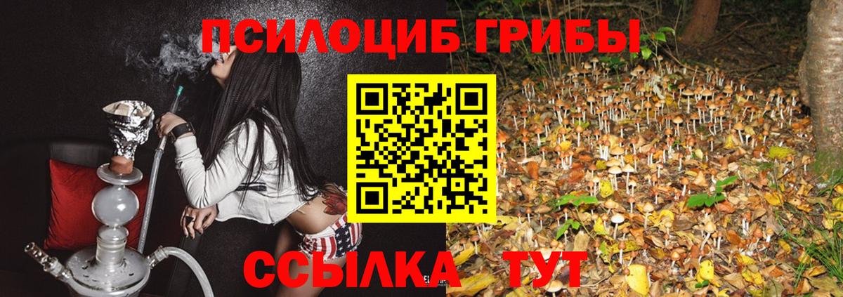 Дагестанские Огни  Галлюциногенные грибы мухоморы  Вход с VPN  Псилоцибиновые грибы MAGIC MUSHROOMS 